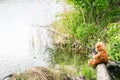 Teddy bear fisherman. Brown teddy bear sits by the lake with a fishing rod and catches fish Royalty Free Stock Photo