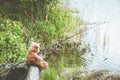 Teddy bear fisherman. Brown teddy bear sits by the lake with a fishing rod and catches fish Royalty Free Stock Photo