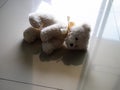 Teddy Bear on Floor Shadow Window Home Sign for Broken Heart Child Beaten Sad Lonely Depressed