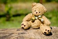 Teddy bear in the garden Royalty Free Stock Photo