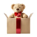 Teddy Bear Gift Inside an Open Cardboard Box with a Red Ribbon Royalty Free Stock Photo