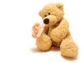 Teddy-bear giving rose