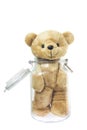 Teddy bear Royalty Free Stock Photo