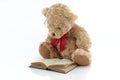 Teddy bear with glasses reading a book Royalty Free Stock Photo
