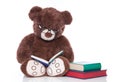 Teddy bear with glasses reading stories for christmas - isolated