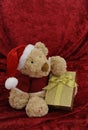 Teddy bear with golden gift box on red Royalty Free Stock Photo