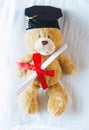 Teddy bear in graduation cap holding his diploma Royalty Free Stock Photo