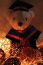 Teddy bear in graduation dress