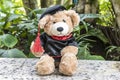 Teddy bear with graduation gown Royalty Free Stock Photo