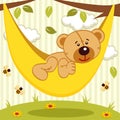 Teddy bear on hammock