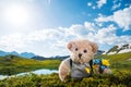 Teddy bear hiking