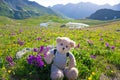 Teddy bear hiking