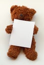 Teddy bear holding blank message paper or board Royalty Free Stock Photo
