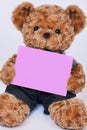 Teddy bear holding a blank pink sign isolated on white background