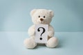 A teddy bear holding a card with a question mark Royalty Free Stock Photo