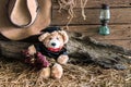 Teddy bear holding dry red roses in barn background Royalty Free Stock Photo