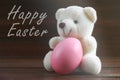 Teddy Bear holding an Easter egg, chicken, wood background Royalty Free Stock Photo