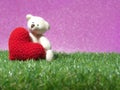 Teddy bear holding a handmade red heart on green grass background is royal pink.Copy space for text, Valentines day, love concept Royalty Free Stock Photo