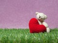 Teddy bear holding a handmade red heart on green grass background is royal pink.Copy space for text, Valentines day, love concept Royalty Free Stock Photo