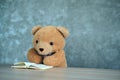 Teddy bear holding a pencil reading a book. Exam preparation for children. The intention of the child