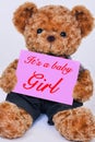 Teddy bear holding pink sign saying It`s a baby Girl