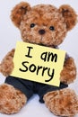 Teddy bear holding yellow sign that says I am Sorry Royalty Free Stock Photo