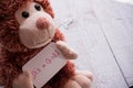 Teddy bear holds an announncement card for baby girl, space for text