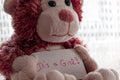 Teddy bear holds an announncement card for baby girl, space for text