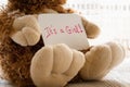 Teddy bear holds an announncement card for baby girl, space for text