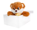 Teddy Bear Inside a Box Royalty Free Stock Photo