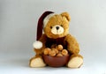 Teddy bear Royalty Free Stock Photo