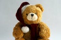 Teddy bear Royalty Free Stock Photo