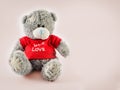 Teddy bear isolated on white background funny romance