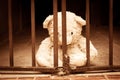 Teddy bear in jail Royalty Free Stock Photo