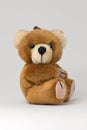 Teddy Bear Keyring