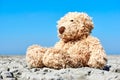 Teddy bear in landscape with dry cracked ground Royalty Free Stock Photo