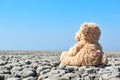 Teddy bear in landscape with dry cracked ground Royalty Free Stock Photo
