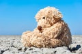 Teddy bear in landscape with dry cracked ground Royalty Free Stock Photo