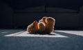 Teddy bear is laying down on carpet in cinematic tone, Dramatic shot of Lonely teddy bear laying down alone in living room at