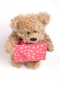 Teddy bear with letter. Valentine's day