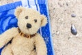 Teddy bear Royalty Free Stock Photo