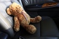 Teddy Bear Lonely Feel In My Car