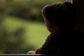 Teddy bear look outside brown plush