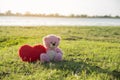 Teddy Bear with love red heart, Toy sitting on green grass with sunrise background. A red heart lovely pillow on the side. Valenti Royalty Free Stock Photo