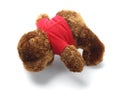 Teddy Bear Lying Face Down