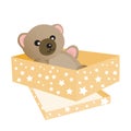 Teddy Bear lying in the golden box Royalty Free Stock Photo