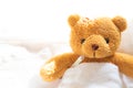 Teddy bear lying sick in hospital bed with with thermometer Royalty Free Stock Photo