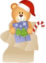 Teddy Bear in Mailbag Christmas Royalty Free Stock Photo