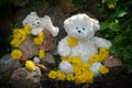 Teddy bear with many dandelion flowers