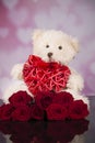 Teddy bear mascot and red roses and red wicker heart for valentine`s day